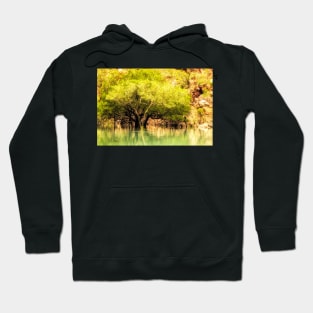 Mangrove Hoodie